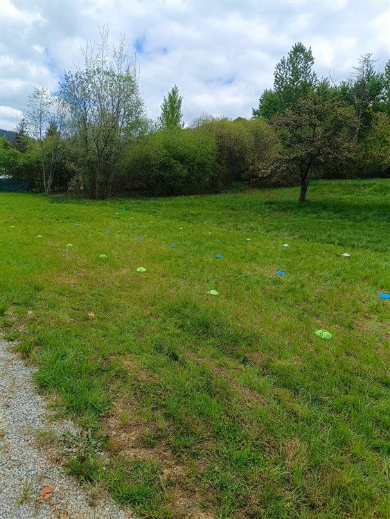 Villa Zarra - nezabudnuteľná škola v prírode + autobusová doprava CK AZAD za najlepšiu cenu!