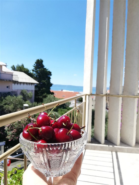 Vila Zdravka - overená kvalita!