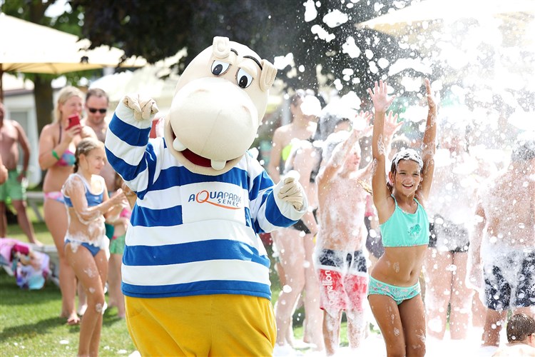 TOP Tenisový tábor Dominiky Cibulkovej